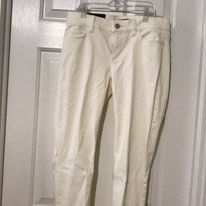 Ann Taylor Pants